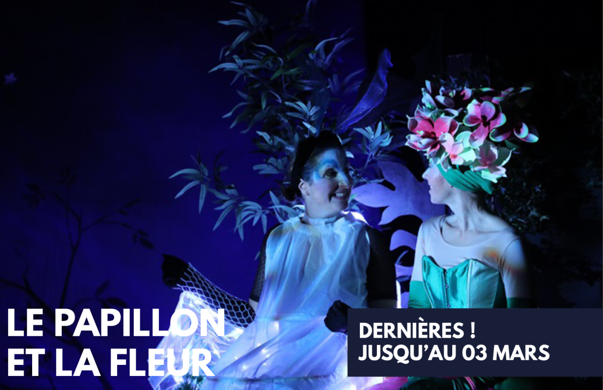 Le Papillon et la Fleur : les premières ! 